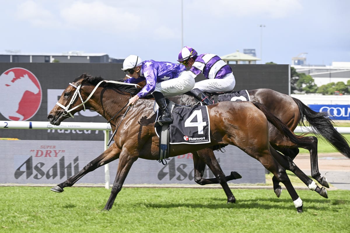 Ranvet reward for Aeliana