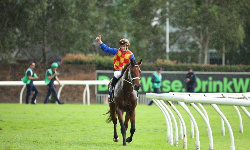 Autumn Boy takes out Rosehill Guineas to provide McDonald with landmark win