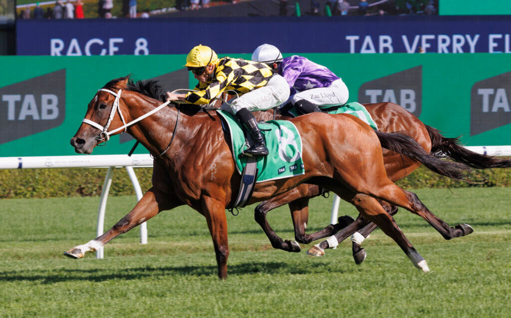 Perfect ten – Autumn Glow dazzles again in Verry Elleegant Stakes