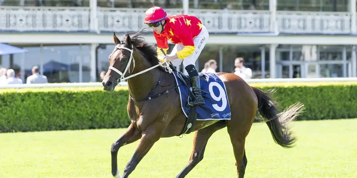 Waller’s Slipper options deepen