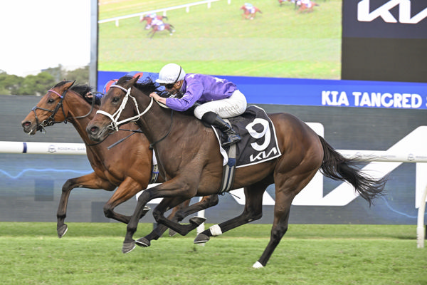 Titanic G1 Tancred Battle – Kiwi Bred Aeliana Triumphant