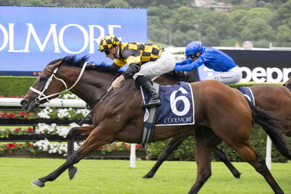 Waller completes Sydney set with Group 1 trifecta