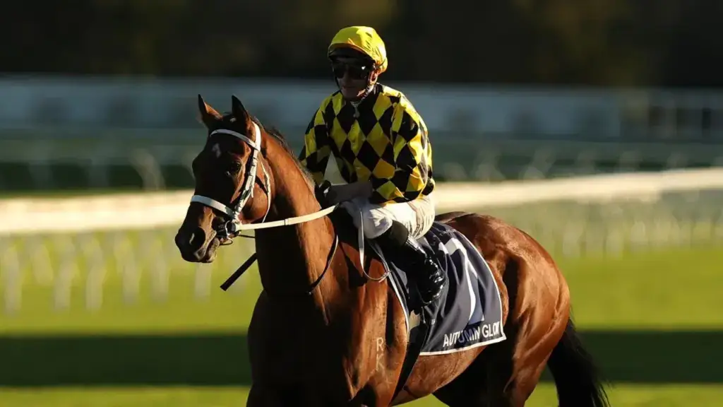 “I got it wrong”: Waller shows enormous grace in Glow’s shock defeat