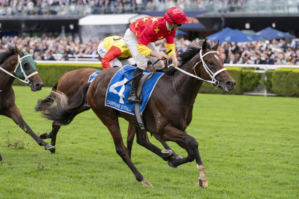 Campione D’Italia cements stud future with Sires’ Produce success