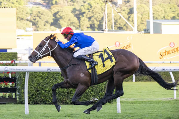 Beiwacht Leads Home Waller Quinella in G1 All Aged Stakes