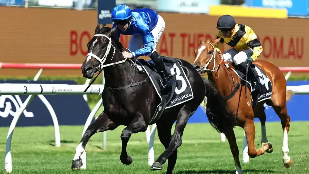 Diameter proves he can measure up to Champagne Stakes