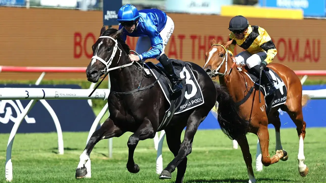 Diameter proves he can measure up to Champagne Stakes