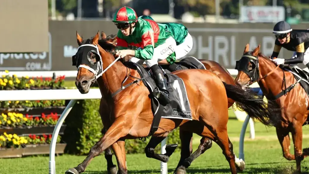 Asterix erupts late to win JRA Plate first-up