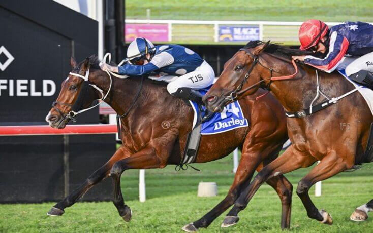 Sun God proves the brightest Star in Scone sprint