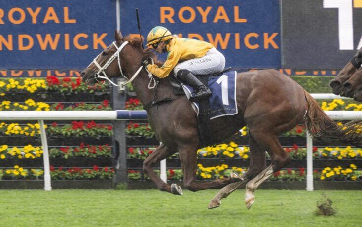 Class prevails as Declichy Boulevard scores on return