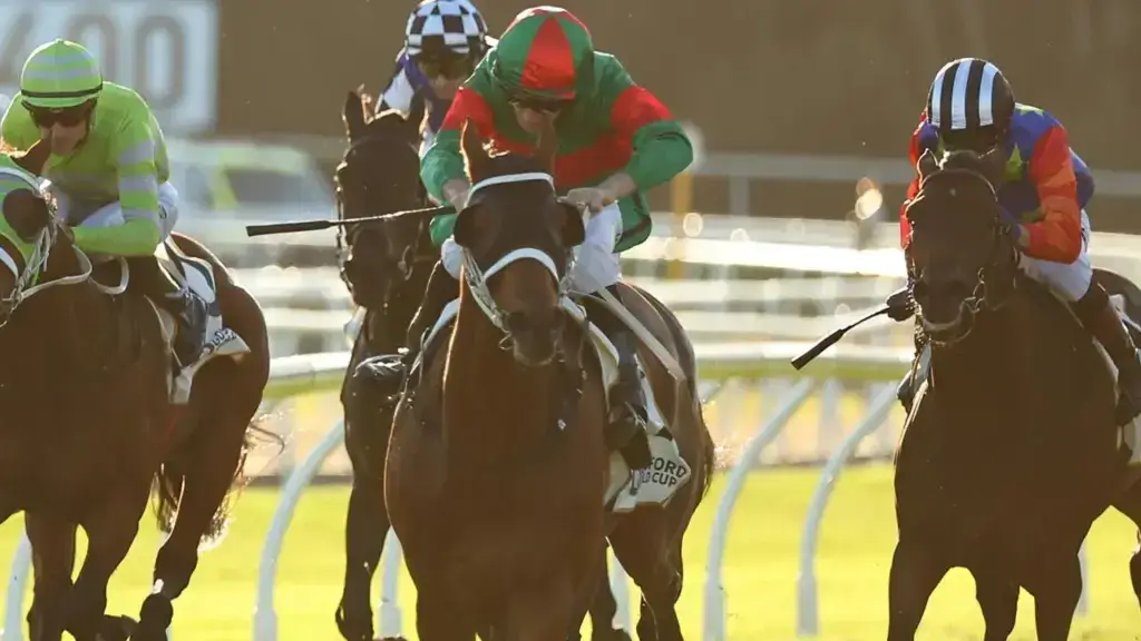 Asterix weighs in with record Gosford Gold Cup win