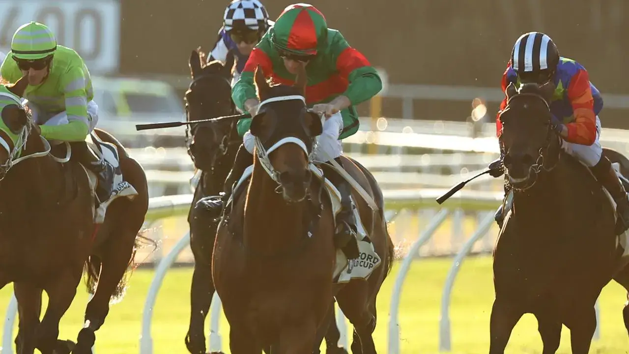 Asterix weighs in with record Gosford Gold Cup win