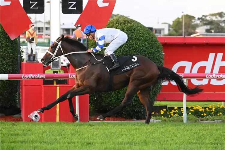 Kiwi-bred Kilman adds to Waller’s Rough Habit run