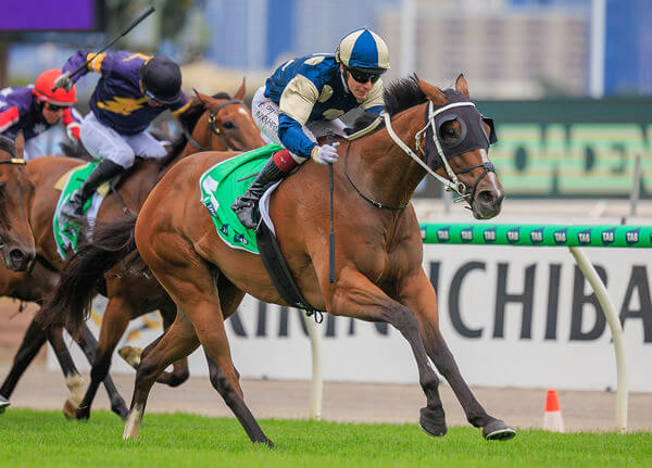 200 G1 Winners For Waller As Birdman Takes Out $1m G1 Doomben Cup