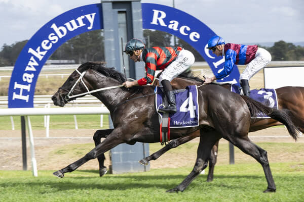 Waller 2YOs Trifecta $160,000 Clarendon Stakes