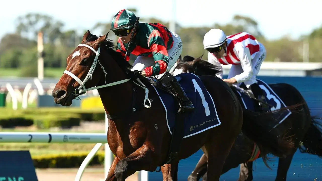 Tron Bolt storms into JJ favouritism after dominant Rosehill win