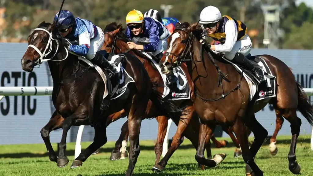 Hat-trick puts Nobler on target for spring Group 1