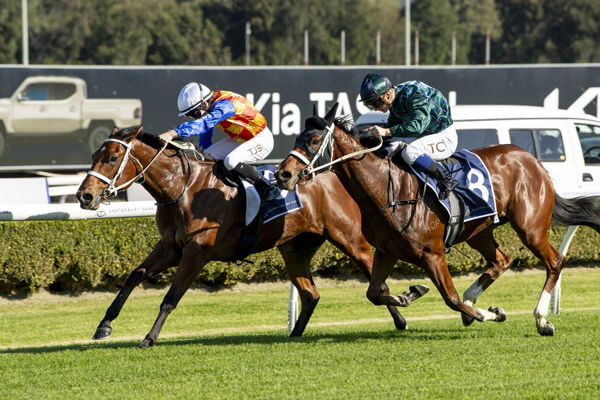 First Home Affairs Winner for Chris Waller