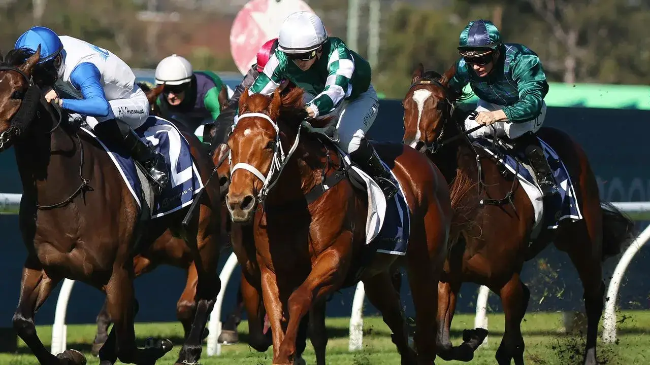 Coolmore calling for exciting Omolong