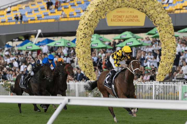 Waller’s super mares Autumn Glow and Aeliana in crucial trials