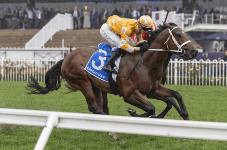 Chris Waller plots Coolmore Stud Stakes path for Steel Will