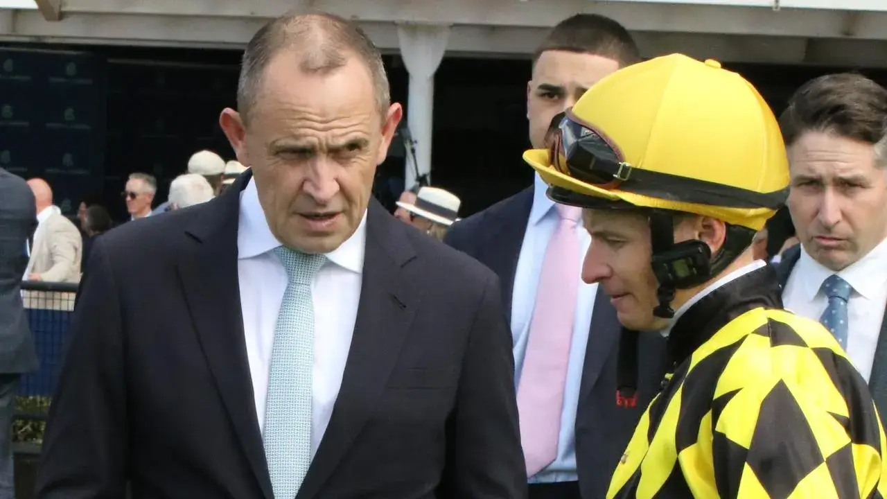 Rare feeling has Waller glowing in countdown to 7 Stakes