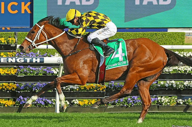 Autumn Glow Crowned Australian Racehorse of the Year