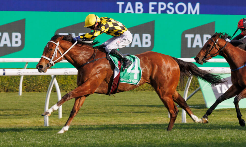 Autumn Glow shines again in Sunrise Stakes