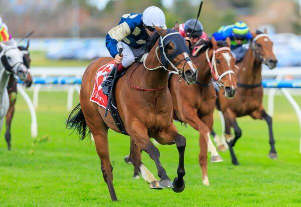 Second G1 Victory As Birdman Wins Underwood Stakes