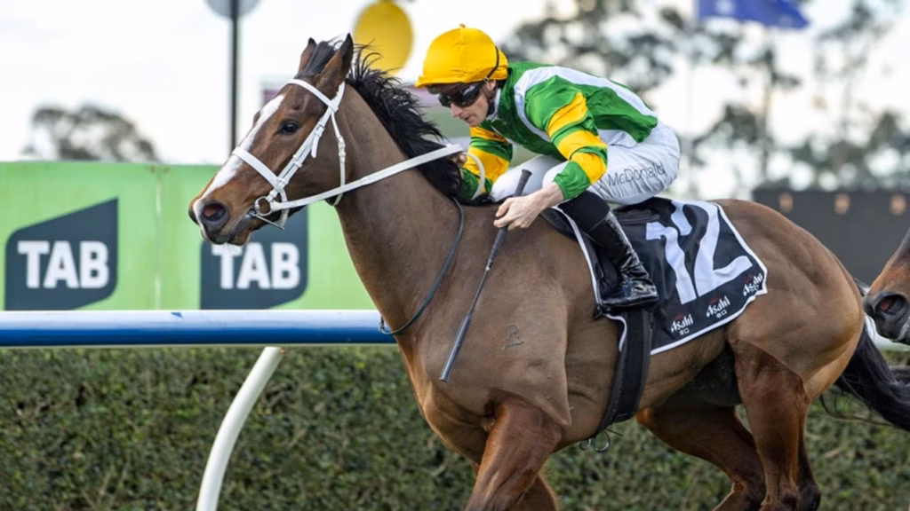 Australia’s best maiden? Group 1 target awaits Chris Waller filly Sing Your Song after Warwick Farm win