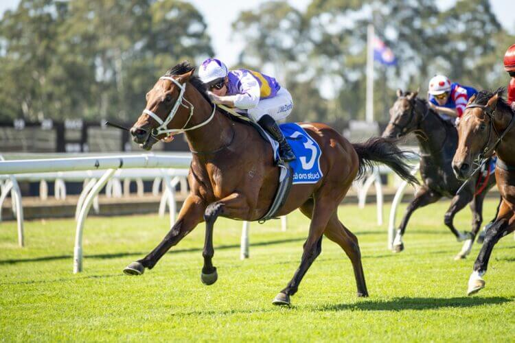 Waller’s Golden Rose Guns Set For Early Spring Showdown