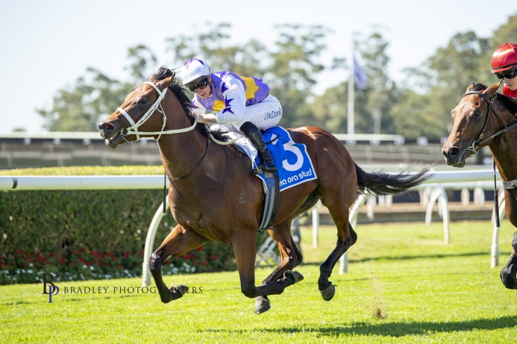 Waller eyes Coolmore seventh heaven with $2.7 million colt