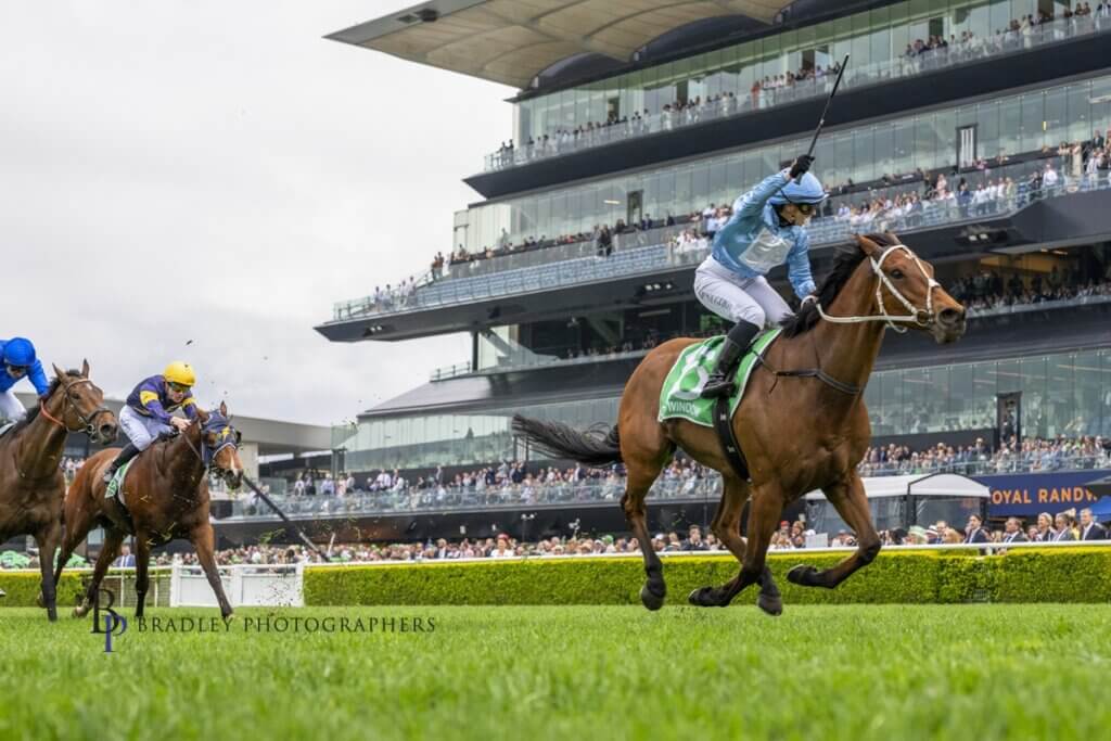 God’s Window Springs Surprise With Easy G1 Epsom Win