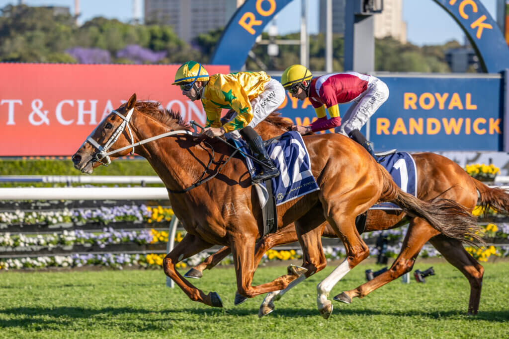 Declichy Boulevard caps red-letter day for Waller