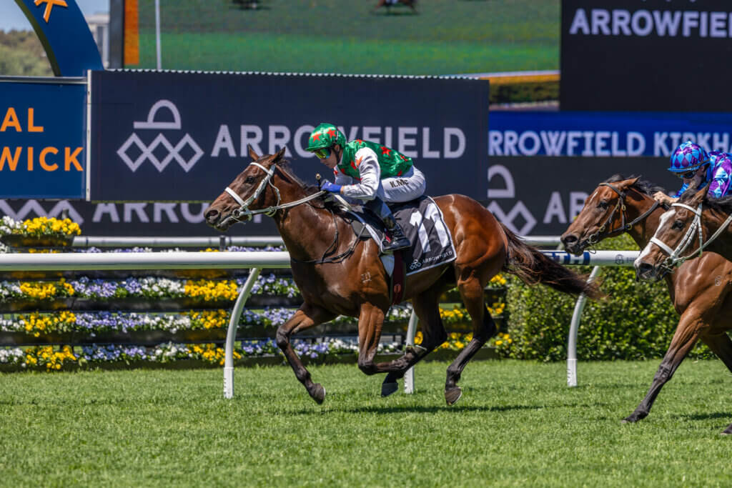 ‘She has a bit of sass’: Magic Millions in sight for Exo Velocity