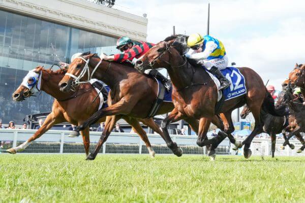 Lady Shenandoah Breaks Drought in G1 Toorak