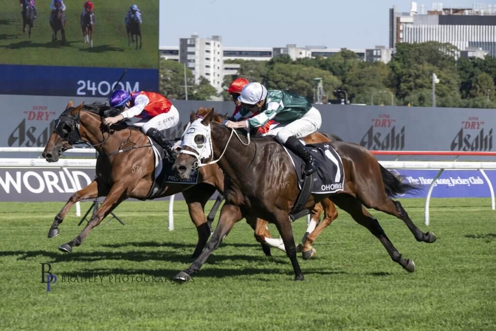 Waller’s best Hope to win Cup, De Armas a late entry into Thousand Guineas
