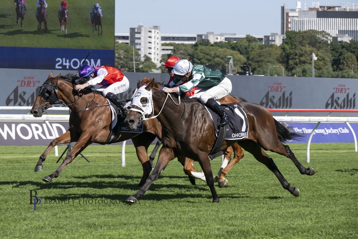 Waller’s best Hope to win Cup, De Armas a late entry into Thousand Guineas