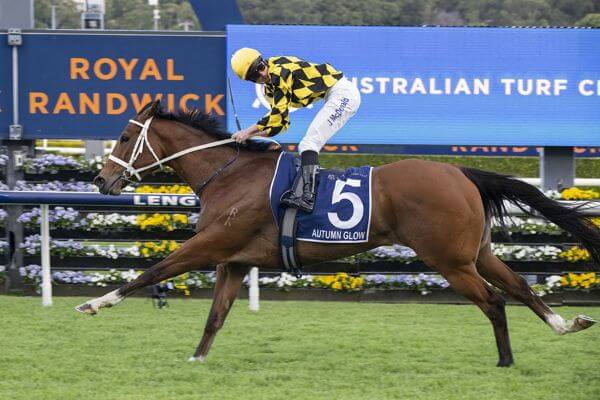 Autumn Glow Reigns Supreme With Fifth G1 Victory