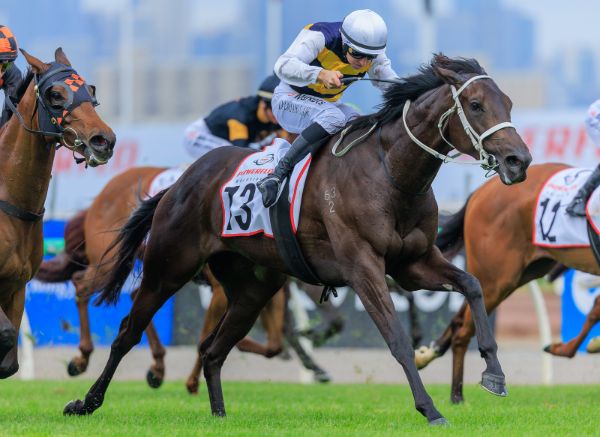 Kiwi Bred Mare Soverato Wins G3 Tesio for OTI Racing
